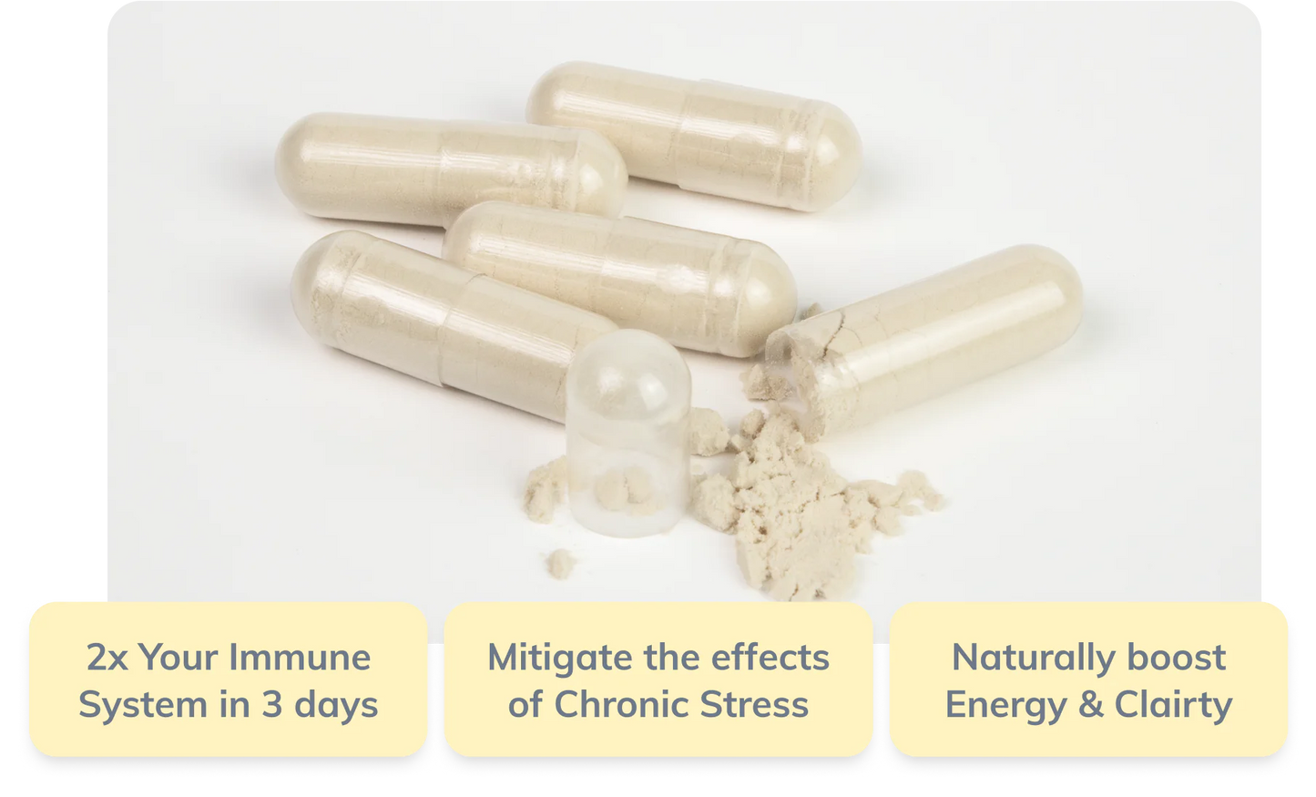 Beta Glucan 100mg - 60caps