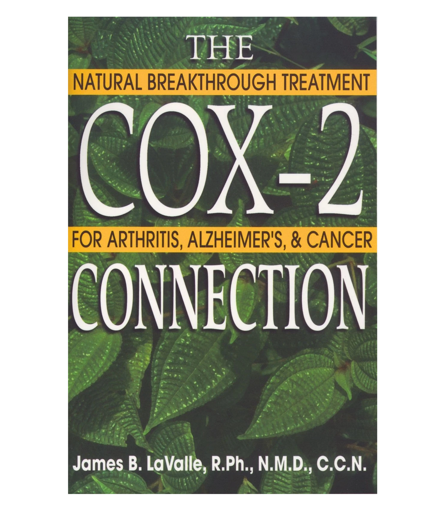 The Cox-2 Connection: Natural Breakthrough Treatments for Arthritis, Alzheimer's, and Cancer