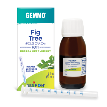 Fig Tree, Gemmo - 2 oz